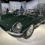 Peterson2023_070 (July 30, 2023)